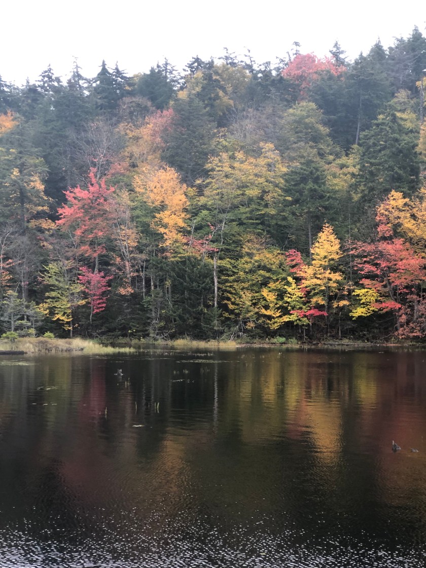 00FD271B-F3C2-4B7C-A060-24C458396B28