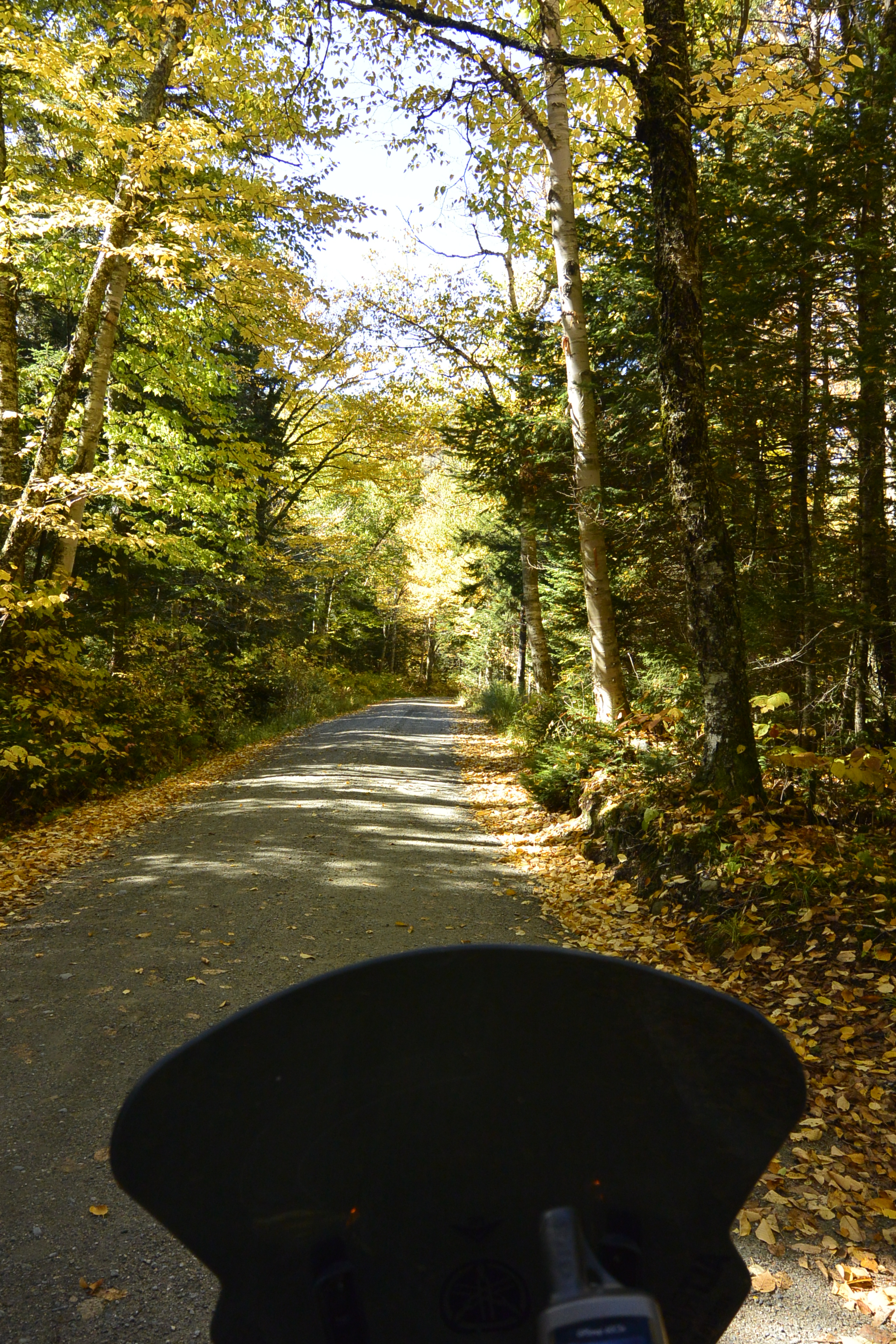 02143AA4-6E52-4CEE-8524-A31D5CF7F155