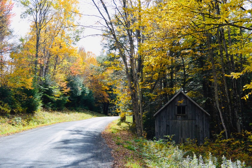 08389A62-F96D-4206-9B53-A053A1128C0B