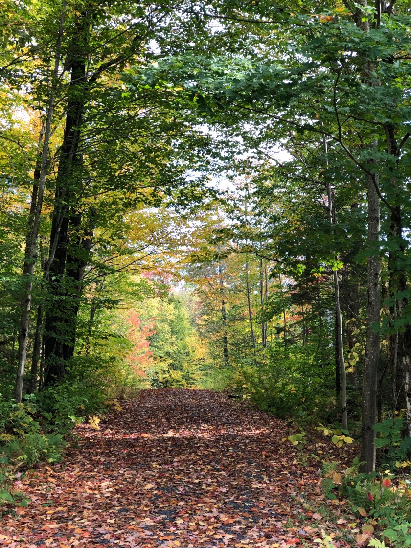 2116A706-B090-4246-BA62-DC606A1A0816