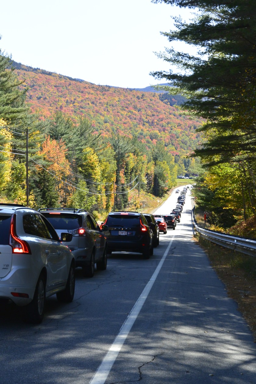 37DB1AF9-79A2-49CE-BB0B-13137C8111A2