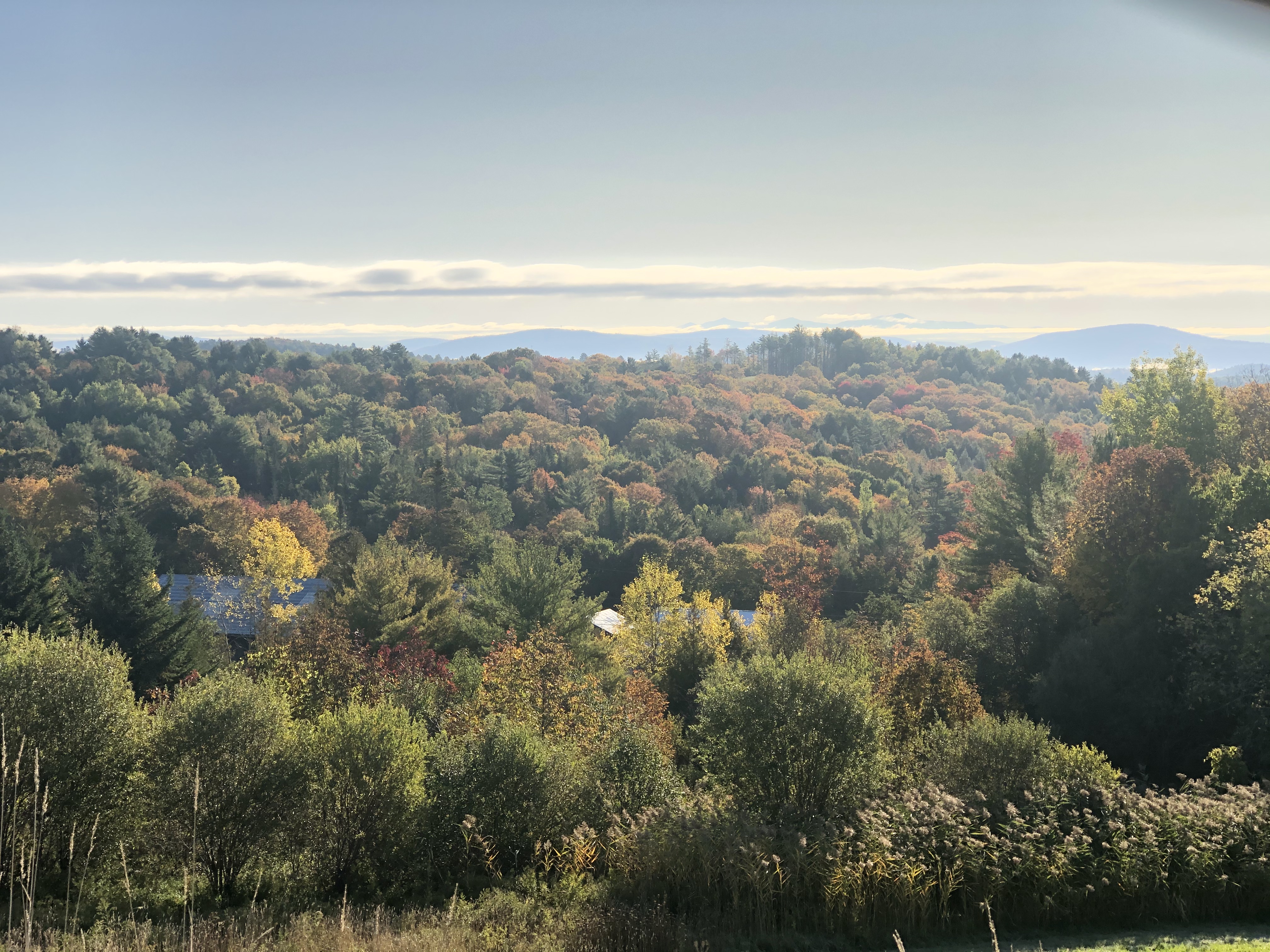 3D6D4F17-683C-4C05-AB65-7E3D8288F772