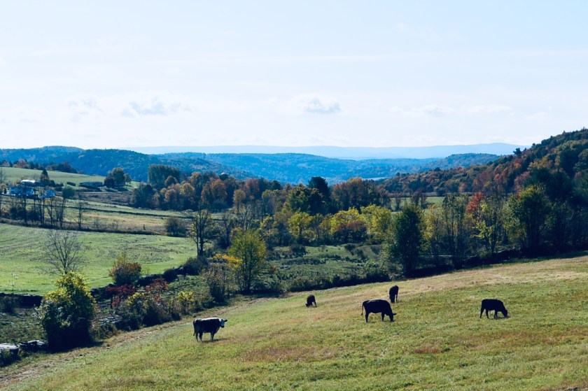 4E4CF7D4-F23E-4FA4-8CC2-25A20F3096E5