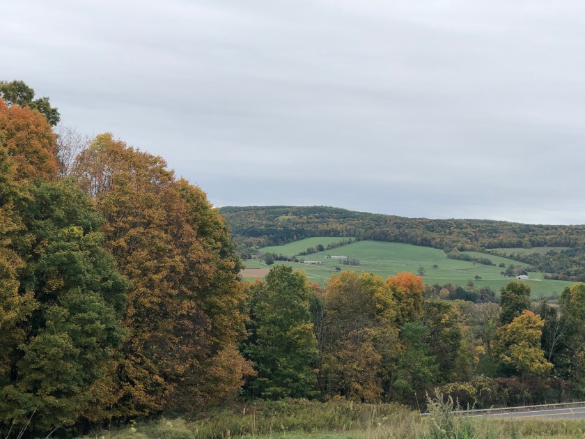 5B7C1FE2-8336-4F23-BA7C-8EE14AF7715C