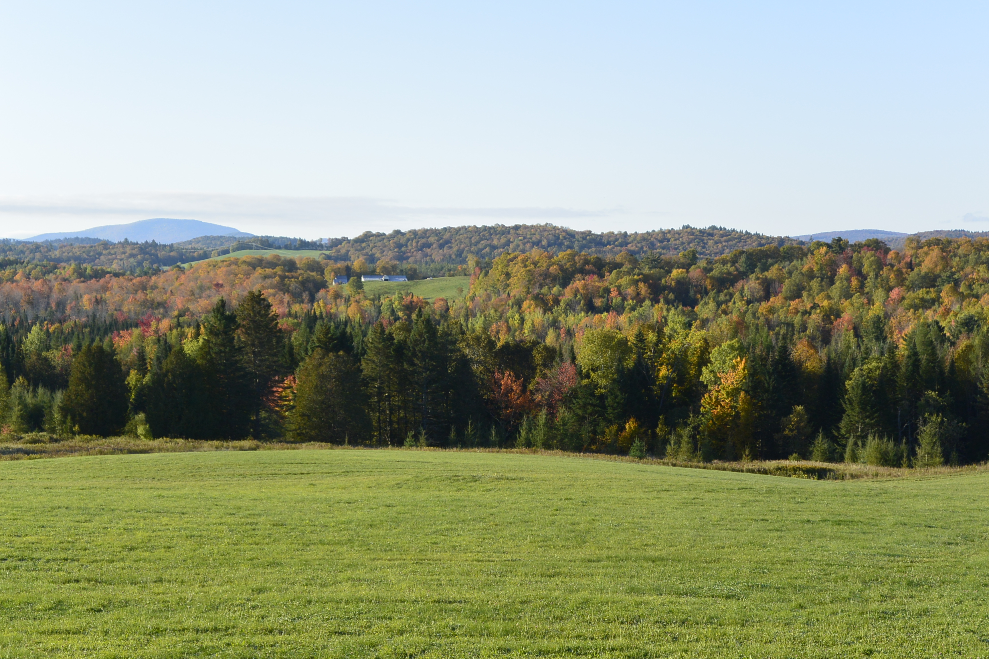 6C515FF9-9287-4D9D-AB07-5A0B365979C4