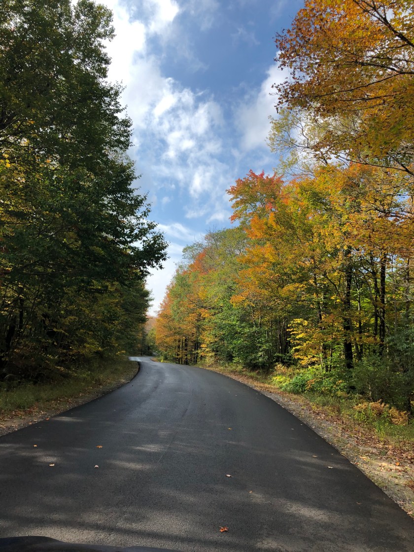 794A2D5E-BFC7-49AE-A575-A46243BE2513