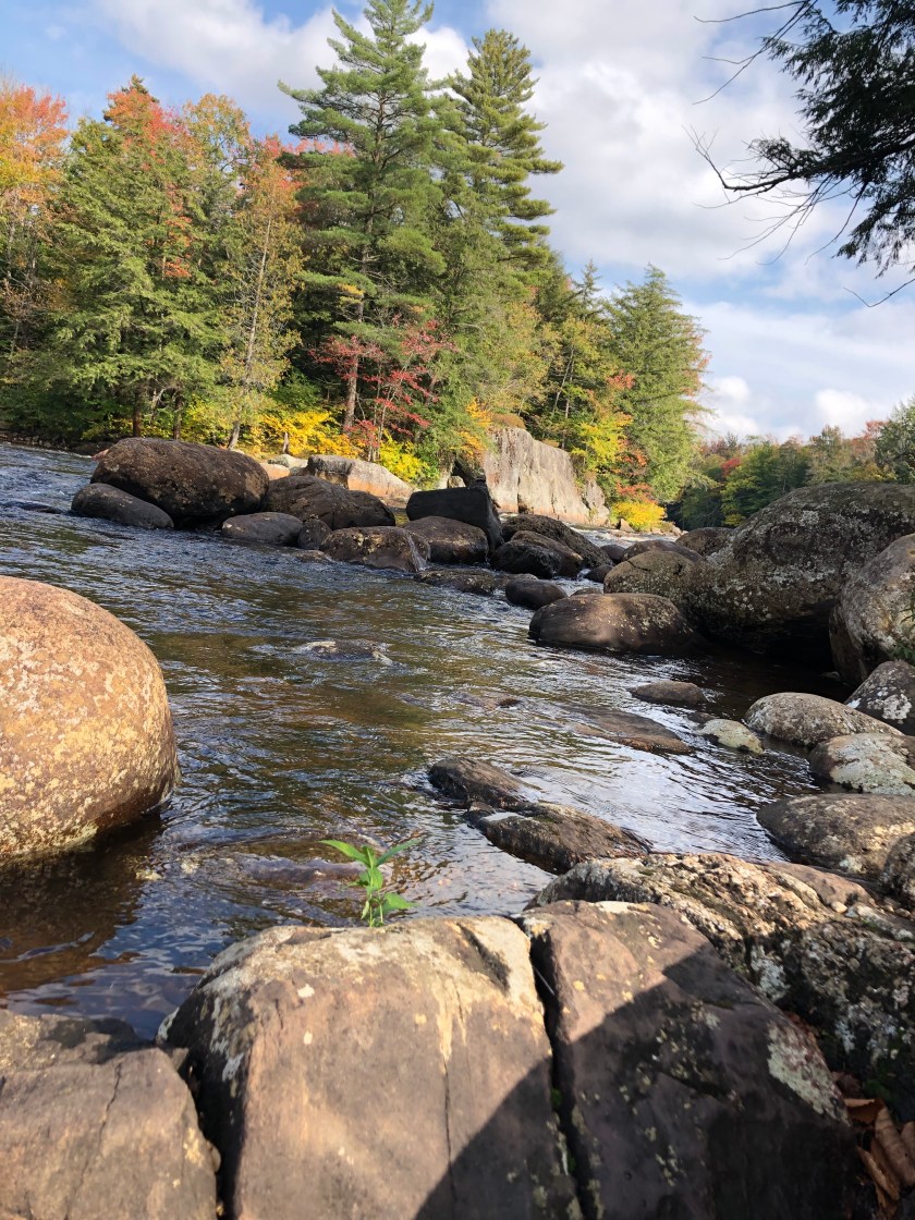 9BF1A4B5-E2A0-4FC8-9319-234195572D28