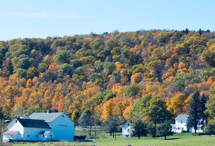 A7E50032-D104-4E90-A916-3FD92DC1C62A