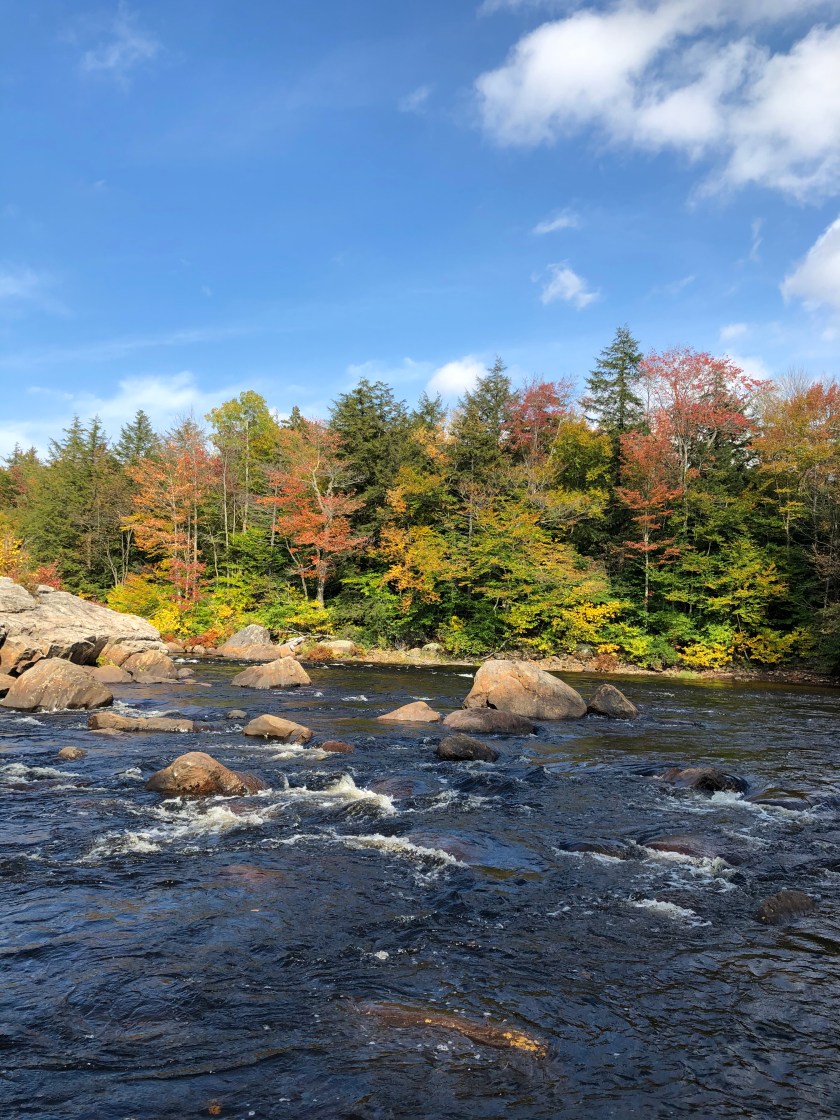 C625F5AC-EC2C-4AF7-9528-6DFEB46C5710