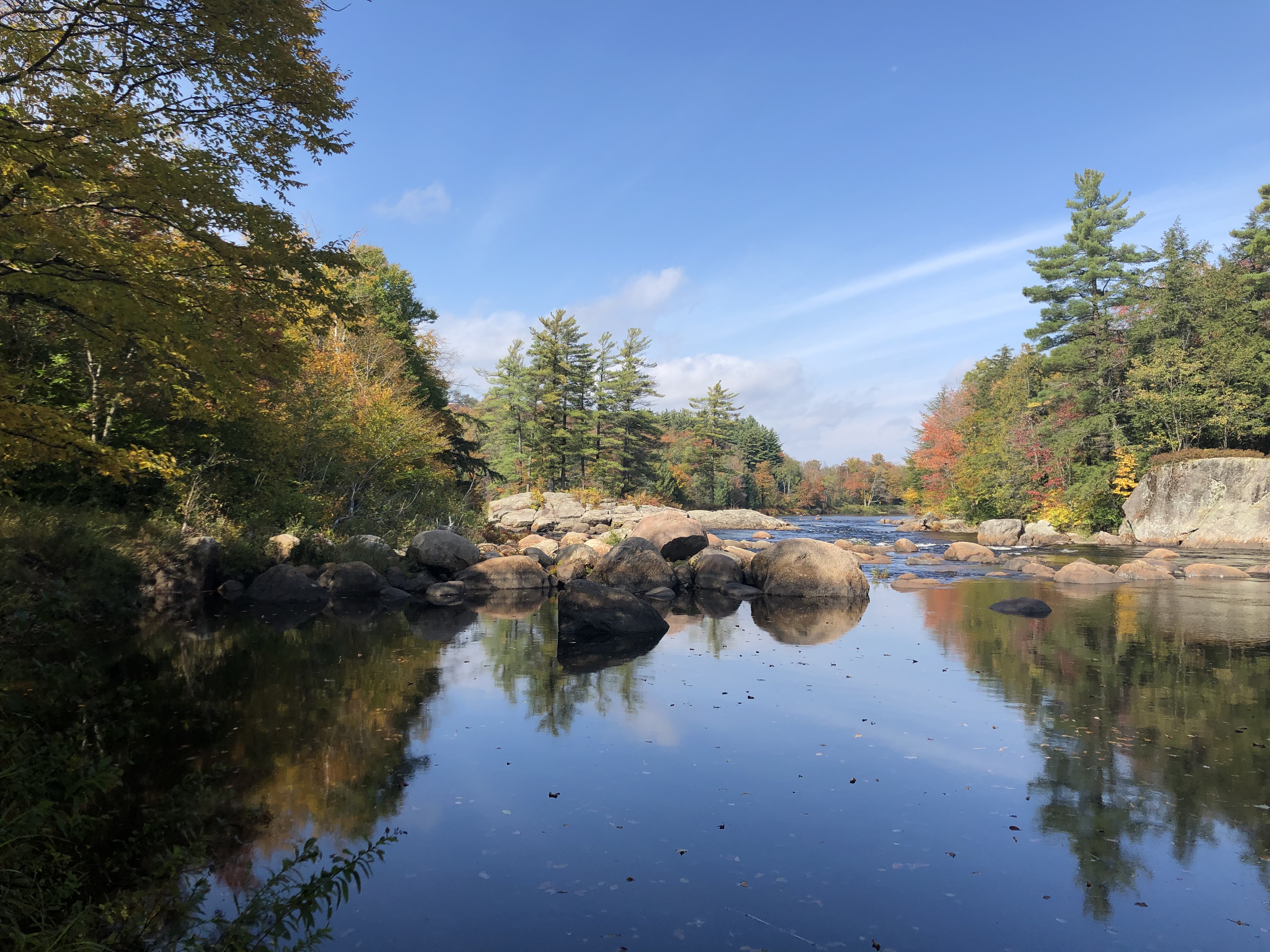 CB69B815-701C-4449-8D21-0ACD7B7E0275