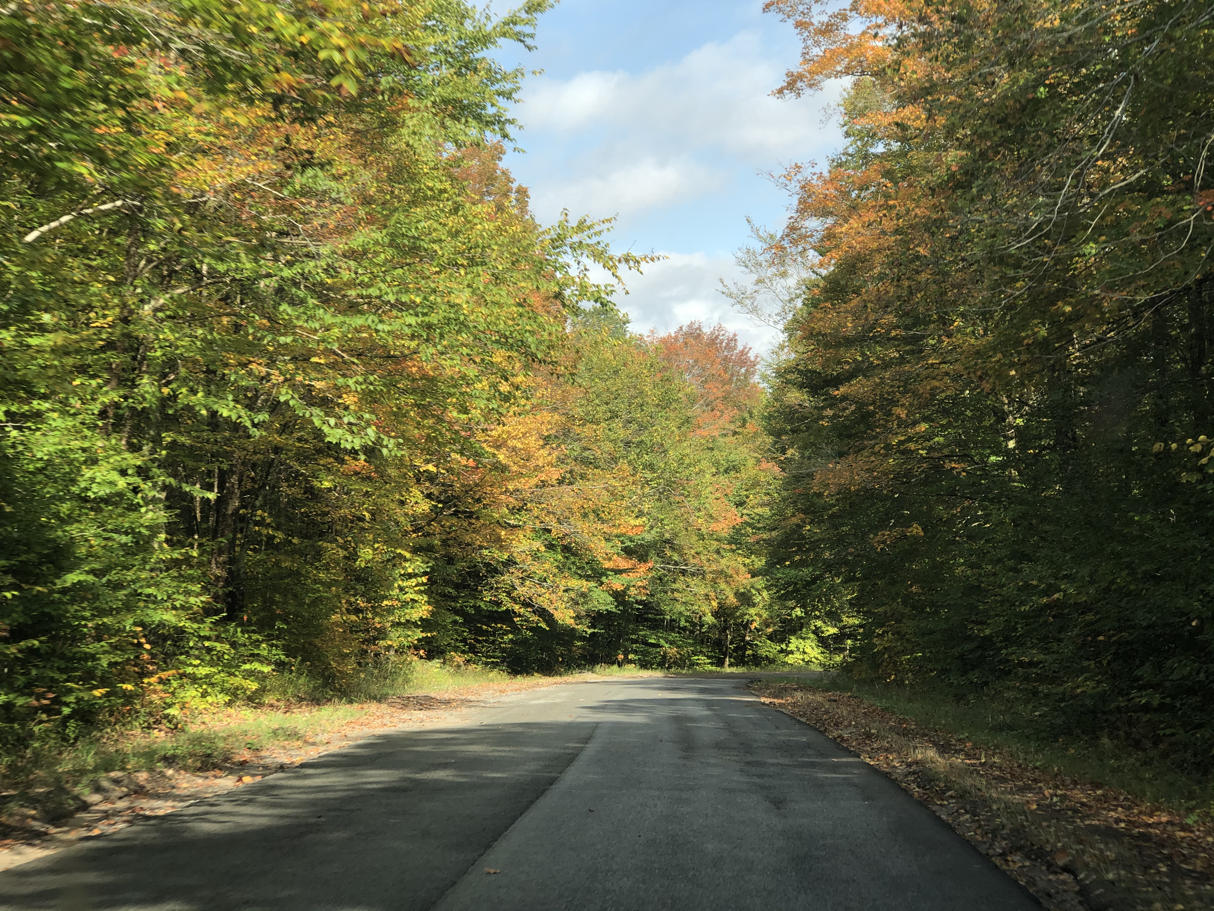 D669A30B-9D94-43E1-8CE4-1D0F96E671D5