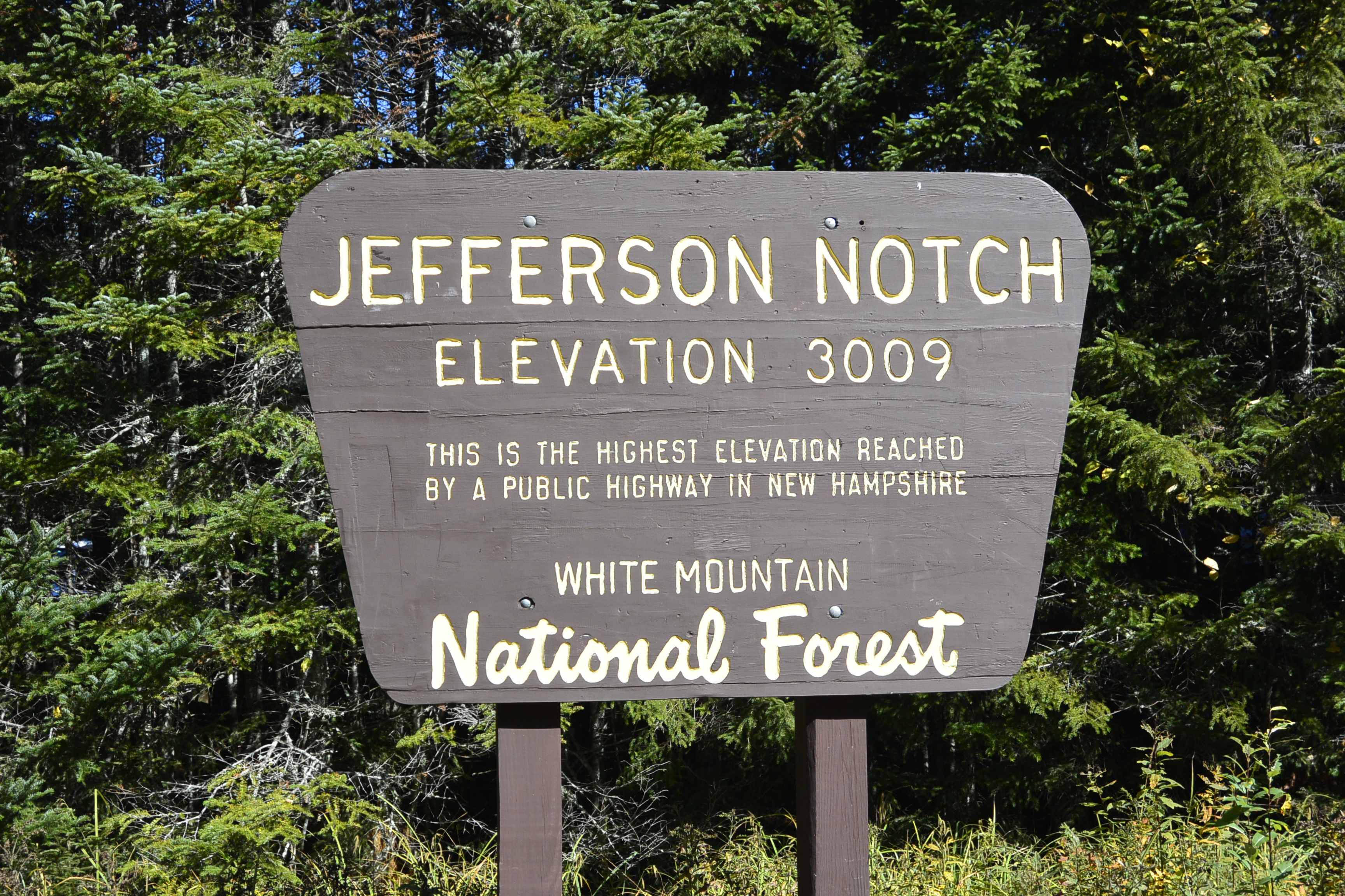 DF75BCC5-5C7E-4B7B-84EC-1F509E9BCA72