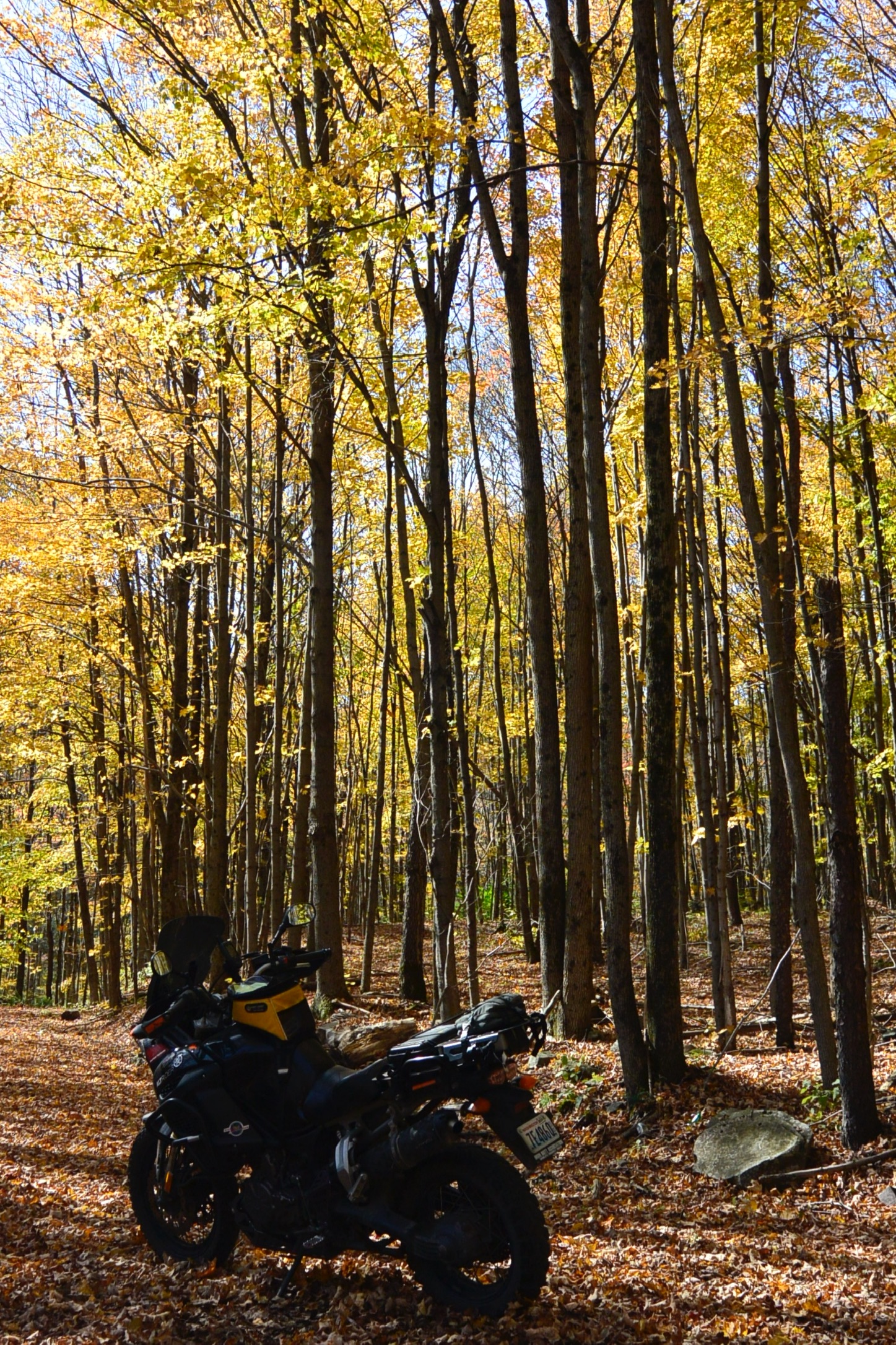 E0F8A861-1870-426D-9502-28E96806FCC0