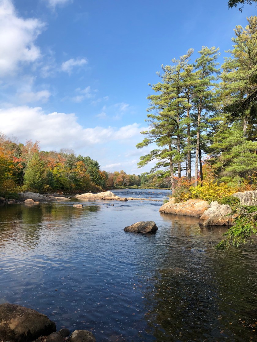 EEF594A9-FBE6-4361-B429-7EEDC9230C29