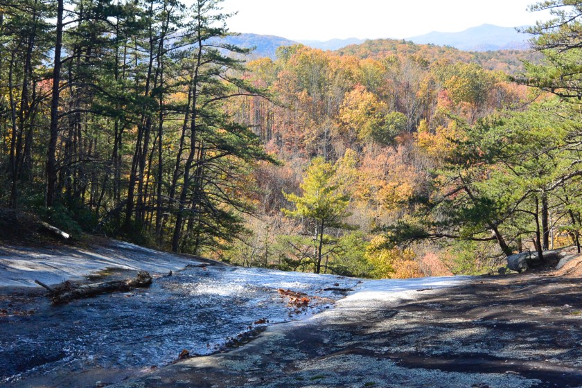 1ACA14DB-B49B-4030-96F8-A7590704DE39