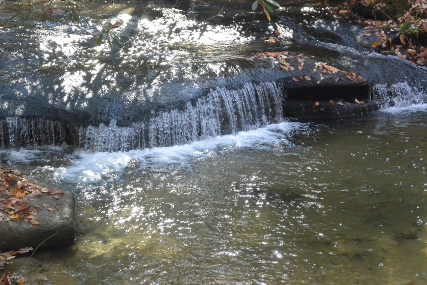 5629E13F-B753-4405-8D03-13B9574CCC71