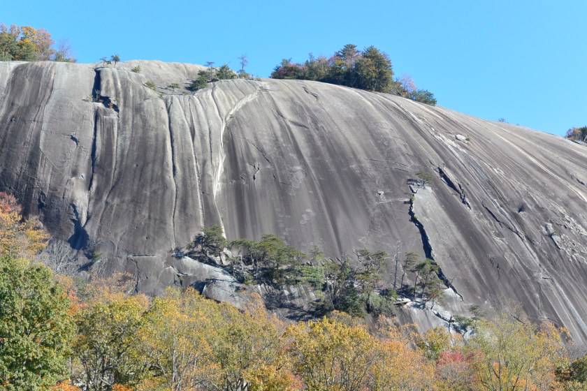 A0A4A0A9-FFB7-4BC1-94CD-77E001C562CF