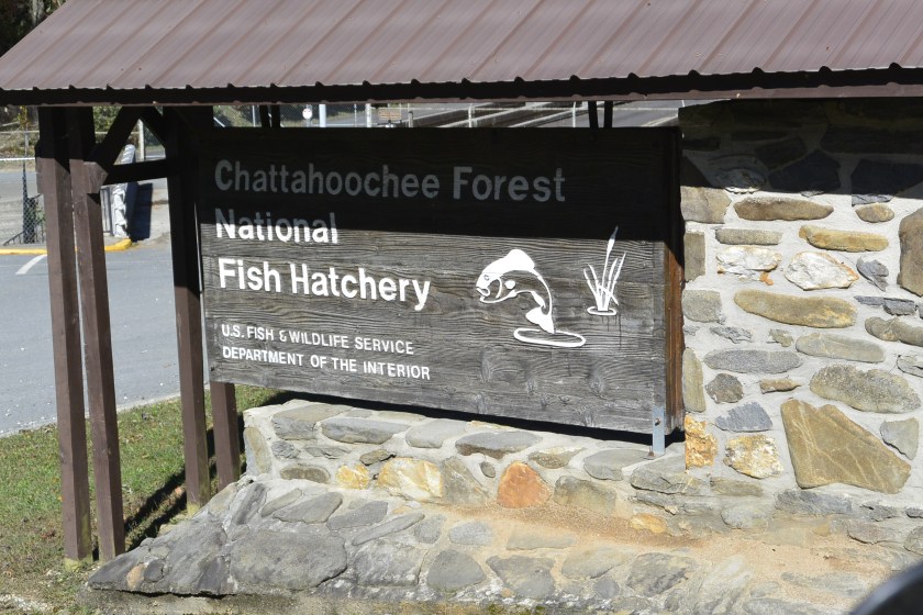 AE913E63-617D-495F-A14C-9BC3B461519A