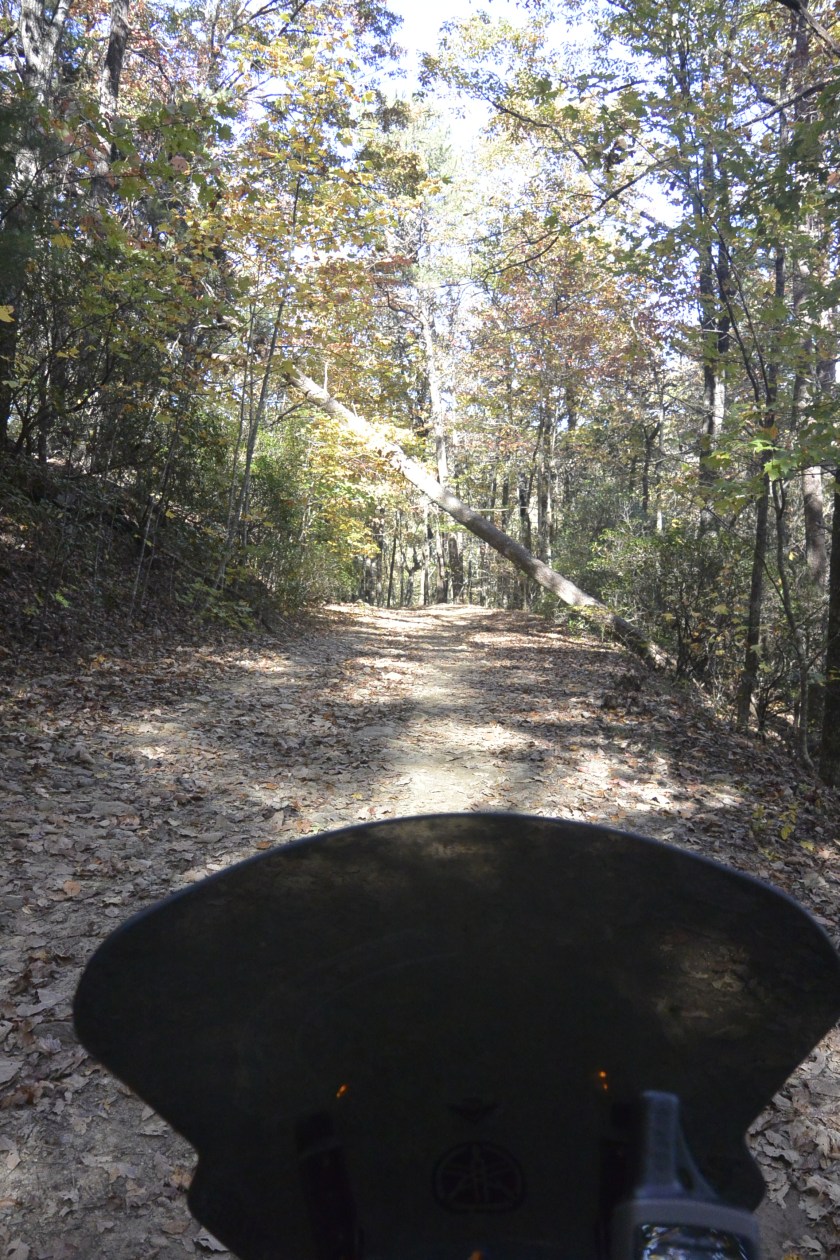 EF1E502B-2035-4988-A682-B27B73598227